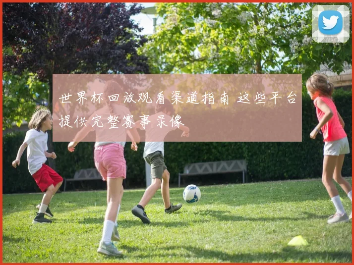 世界杯回放观看渠道指南 这些平台提供完整赛事录像