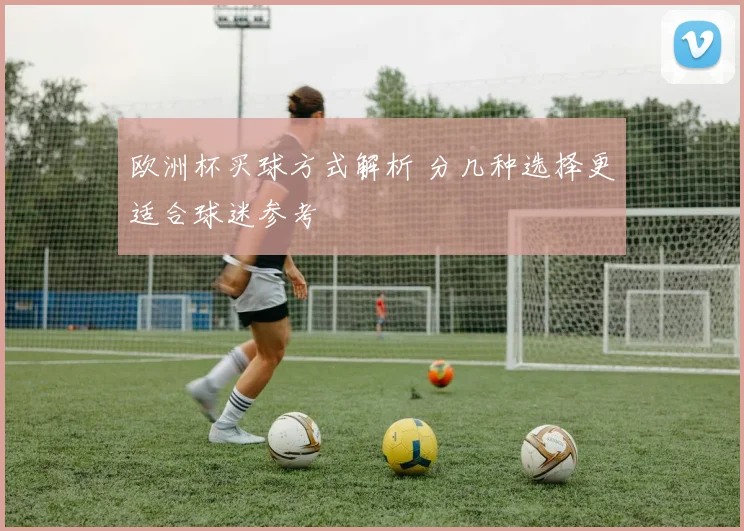 欧洲杯买球方式解析 分几种选择更适合球迷参考