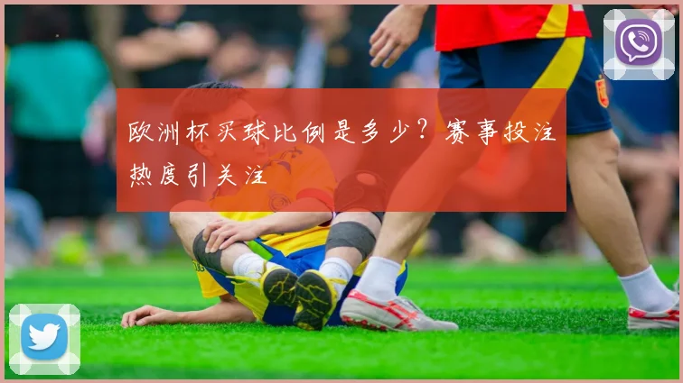 欧洲杯买球比例是多少?赛事投注热度引关注
