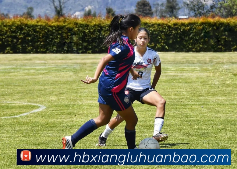 世界杯平台官网登录APP 高清赛事图